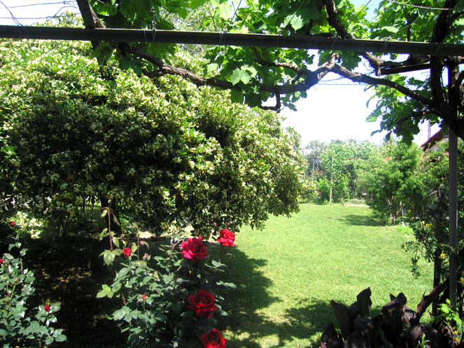 http://www.idyllion.gr/Der-Gartenplatz-nordlich-vo.jpg