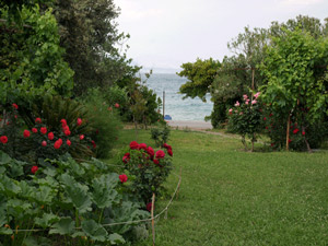 Der vordere Garten